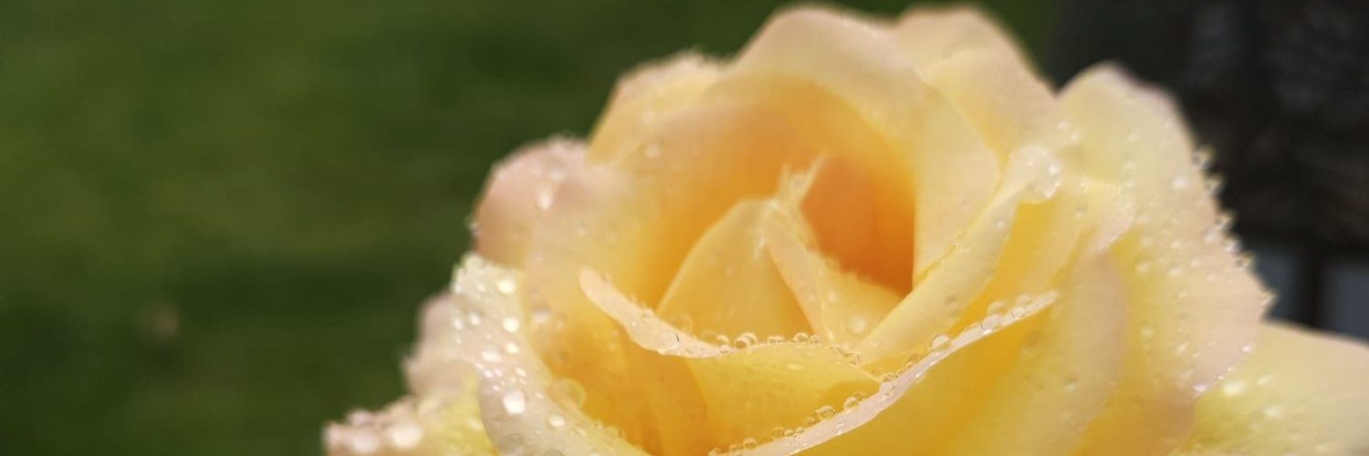 SarahMelissa85's profile banner image