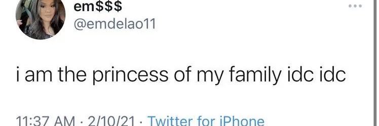 princess mommy . banner