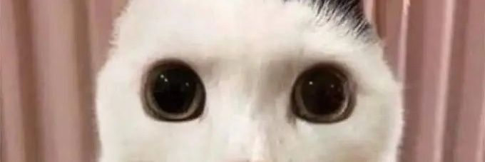 UmP0U's profile banner image