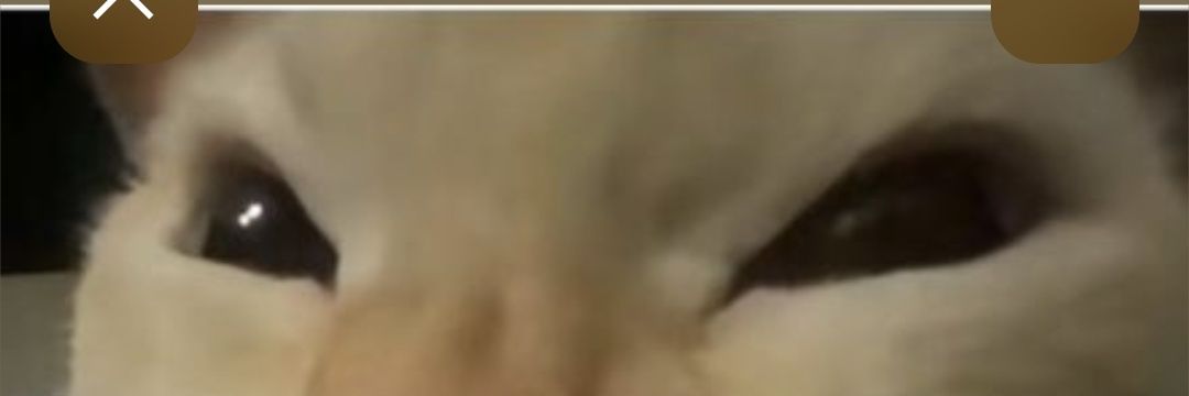 fionaxerecuda77's profile banner image