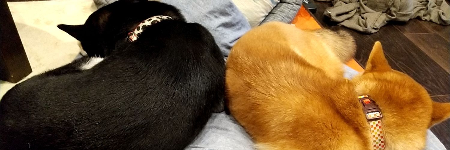 chigatch's profile banner image