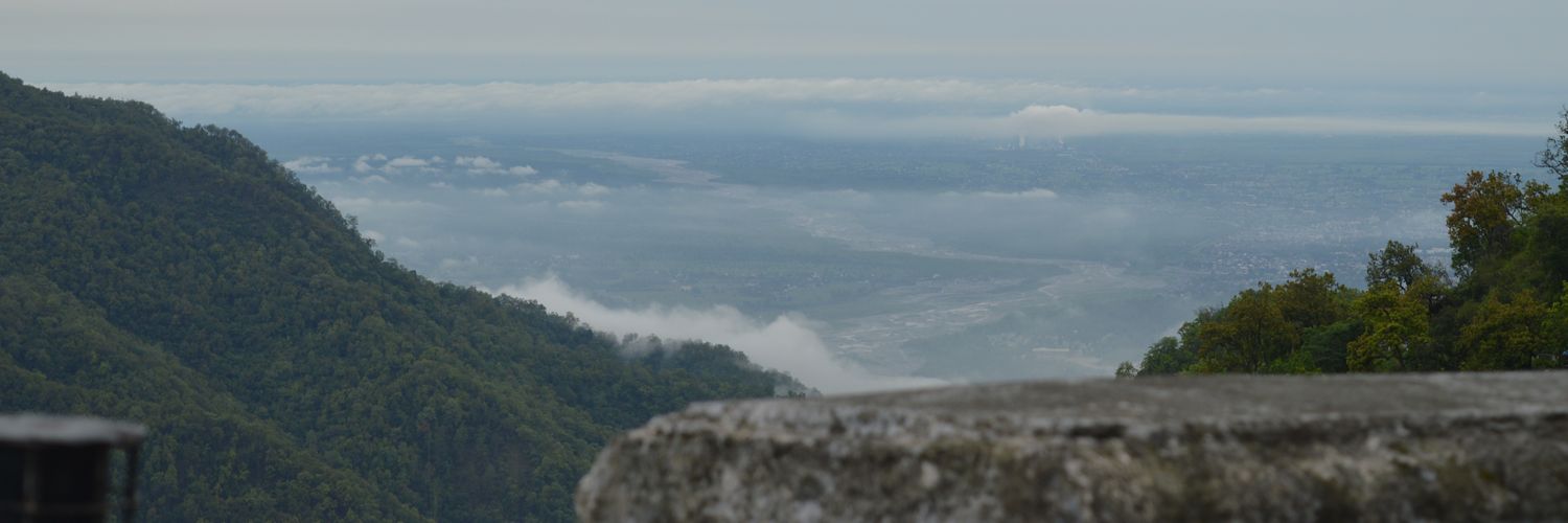 arush_s's profile banner image