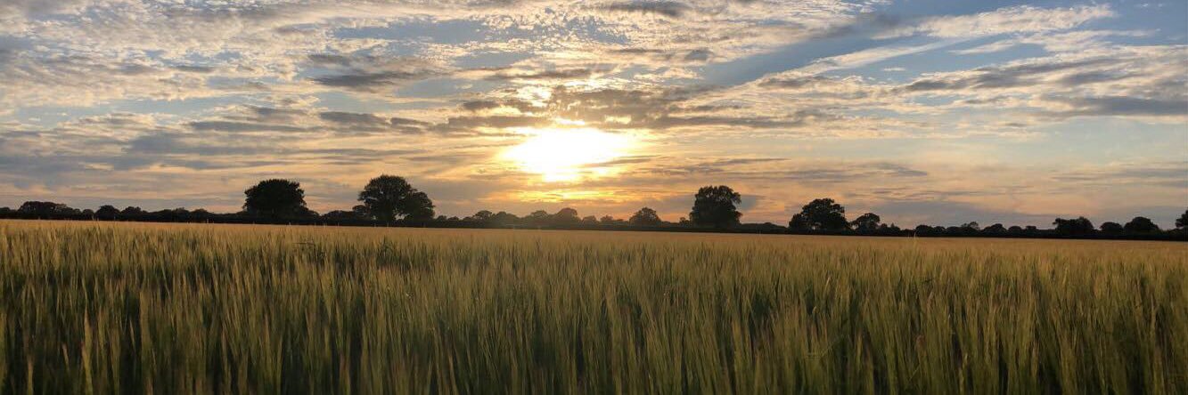 Claire 🥂🍾 banner