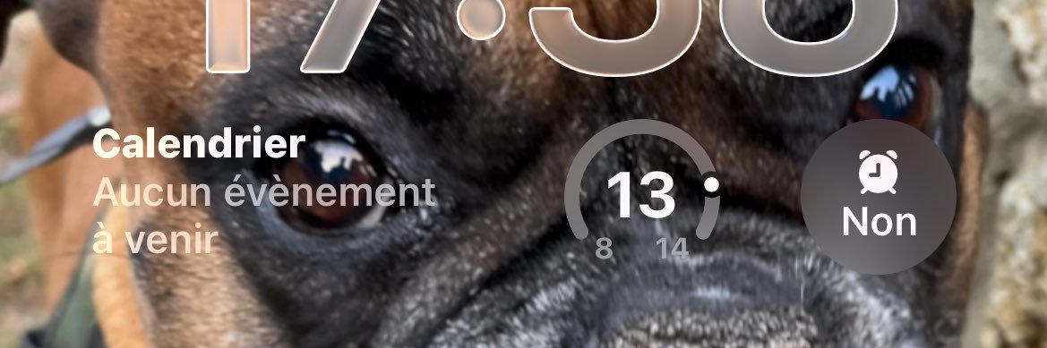 Stephane Doux banner