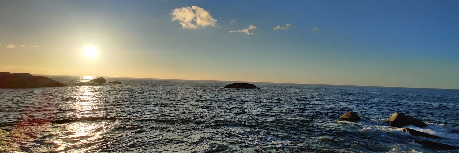 Steely_Resolve banner