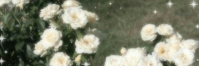 cosmos_0do_ob4's profile banner image
