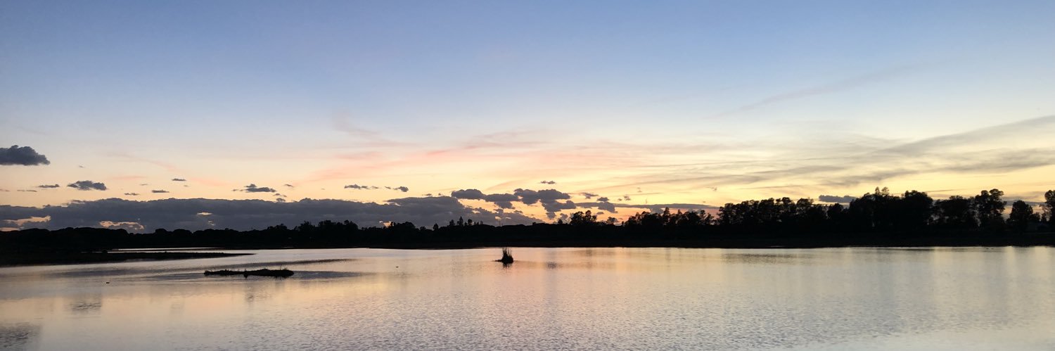 teresamgc's profile banner image