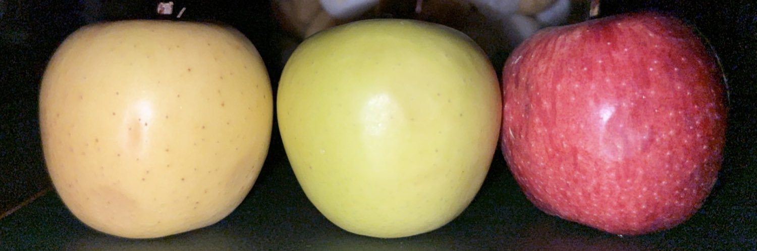 زَنَبَق banner