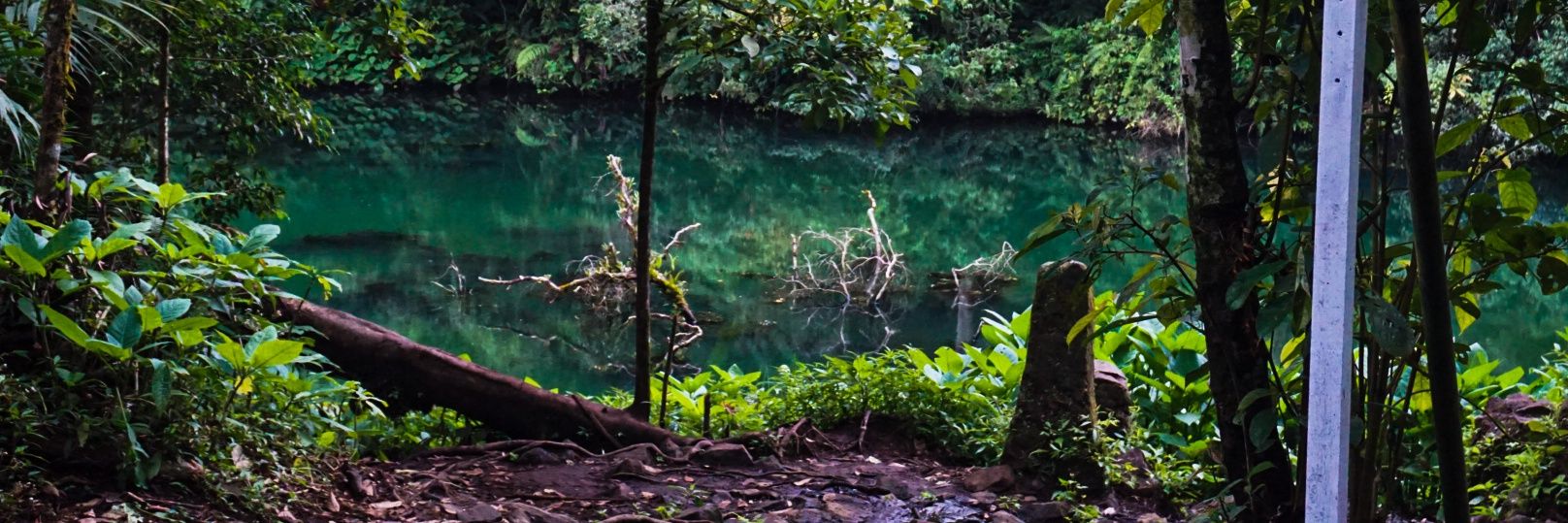 Farrell A Farhan banner