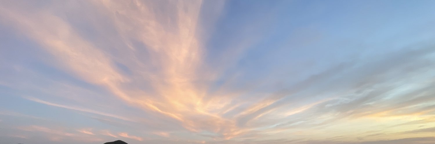 KNPxNTS's profile banner image