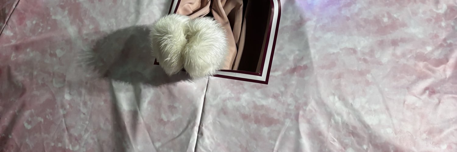 ぷーちゃん@おさんぽ banner