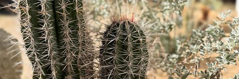 S.N Ukachukwu banner