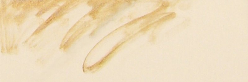 Hayley Ross's banner