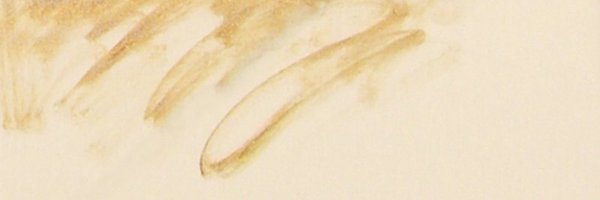 HayleyRossLing Profile Banner