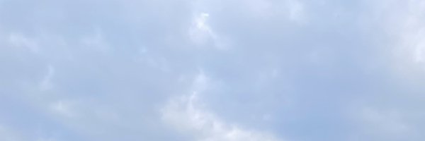 doidoidodoo Profile Banner