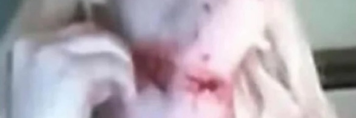 🧟‍♀️ banner