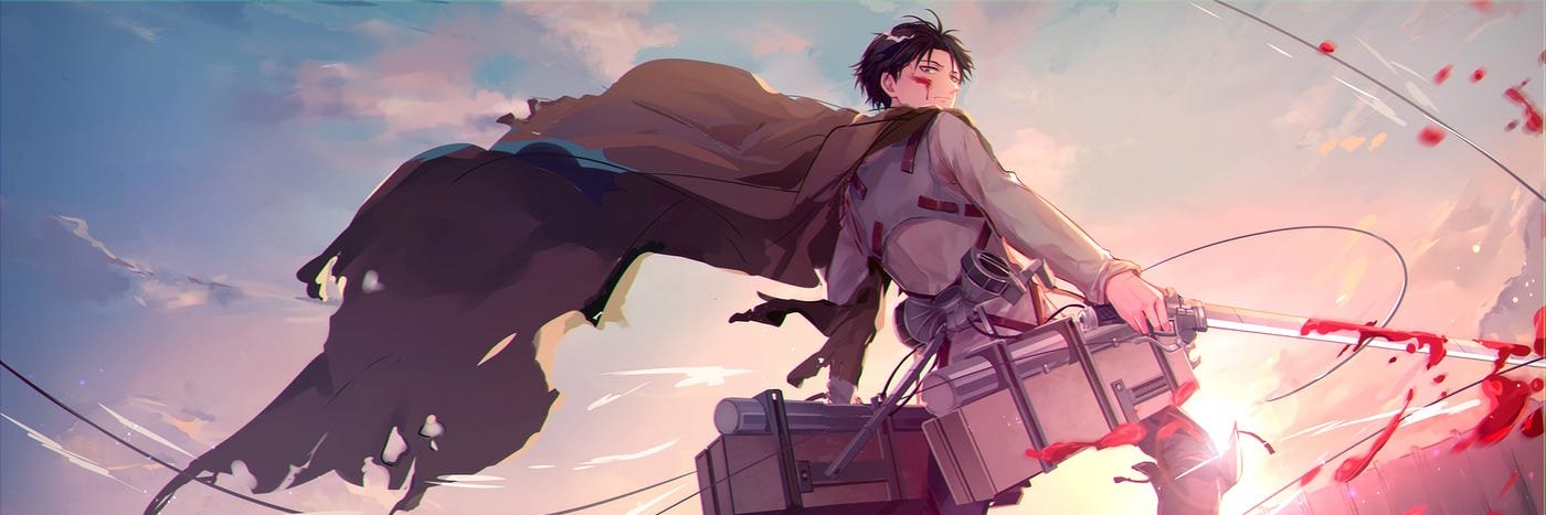 Levi banner