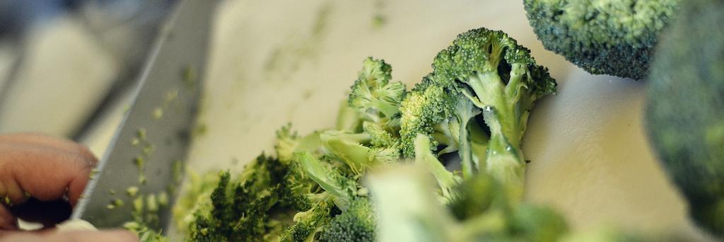 rango_vegan's profile banner image