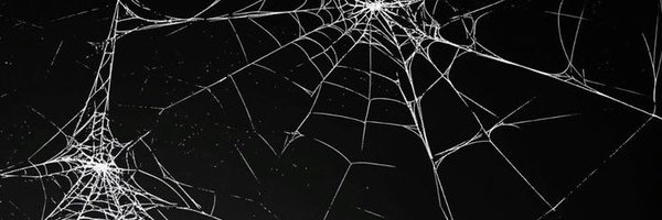 J3llyfishybunny Profile Banner