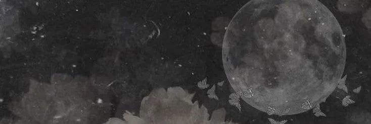 axaikora's profile banner image