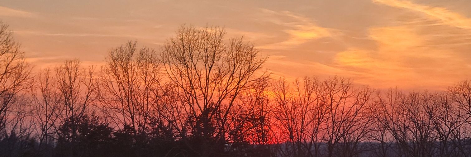 Based Doc's Return banner