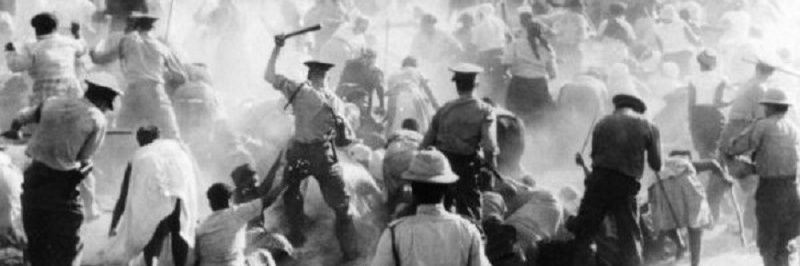 ⩩ 𝐑𝐞𝐱 ⩩ banner