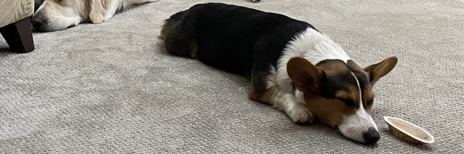 Alexandra Tunkel, MD banner