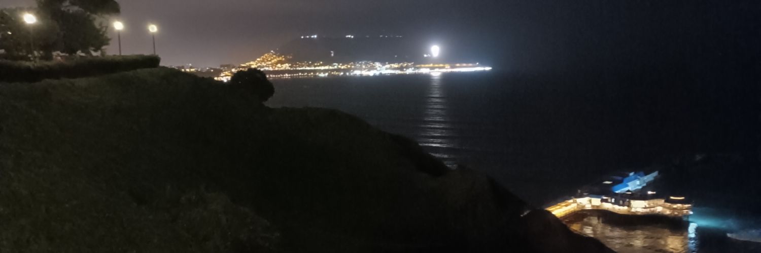 rosss_dom's profile banner image