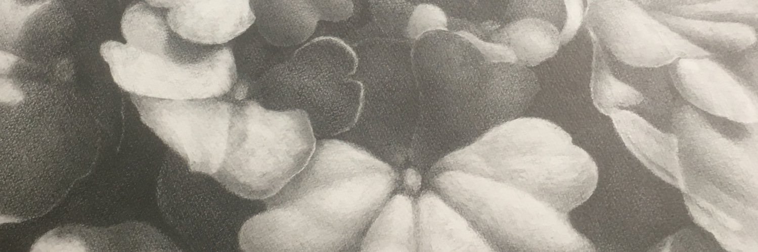 Maccar_001's profile banner image