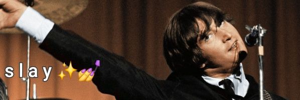 🐾 purrringo 🐾 banner