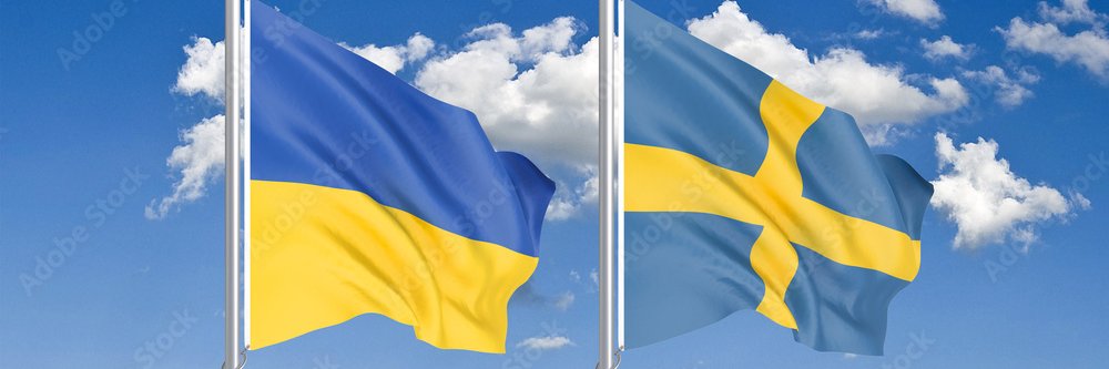 Liselott Martynenko Agerlid's banner