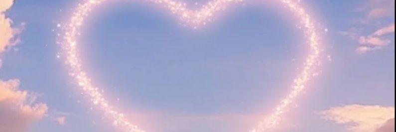 rin banner