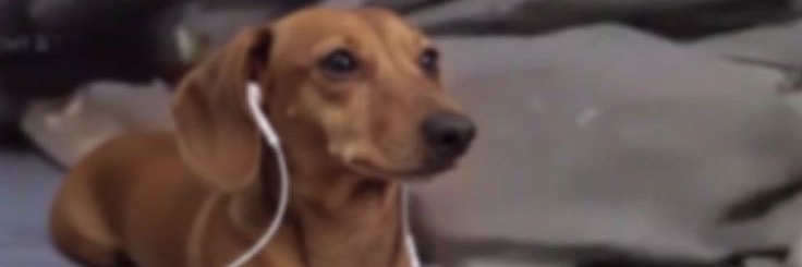 mzoodss's profile banner image