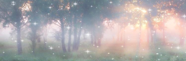 carls 𓏲ּ𝄢 dni: nsfw/shtwt banner