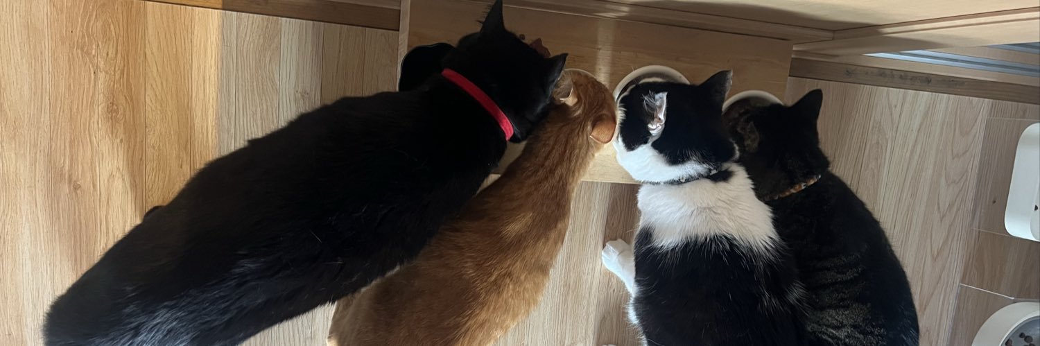 neko3+2🐱 banner