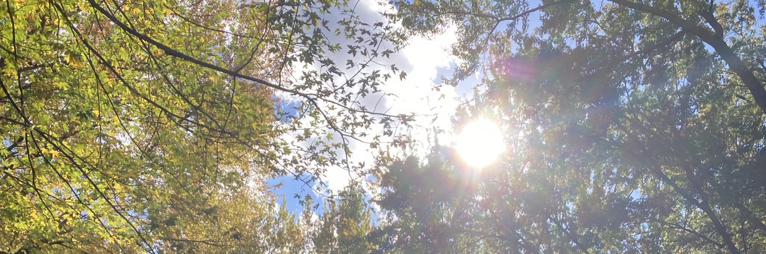 ⭑sunlight ⭑ banner