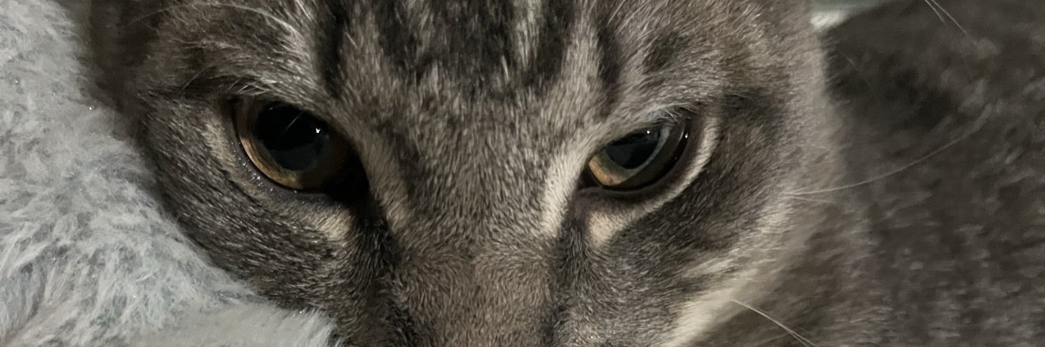 Iluvpear2 banner