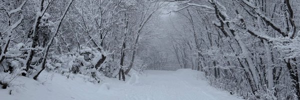 dadaacookies Profile Banner