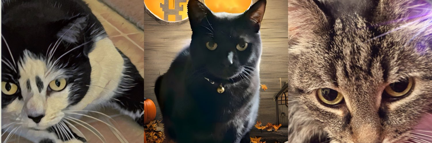 Dr. AMOB 🇺🇸🦓❤️‍🔥 banner