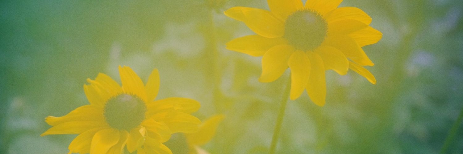 supriyadixit's profile banner image