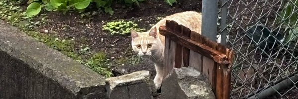 Apocus07181 Profile Banner