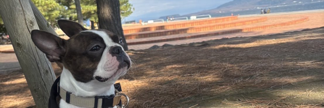 Boston にこ banner