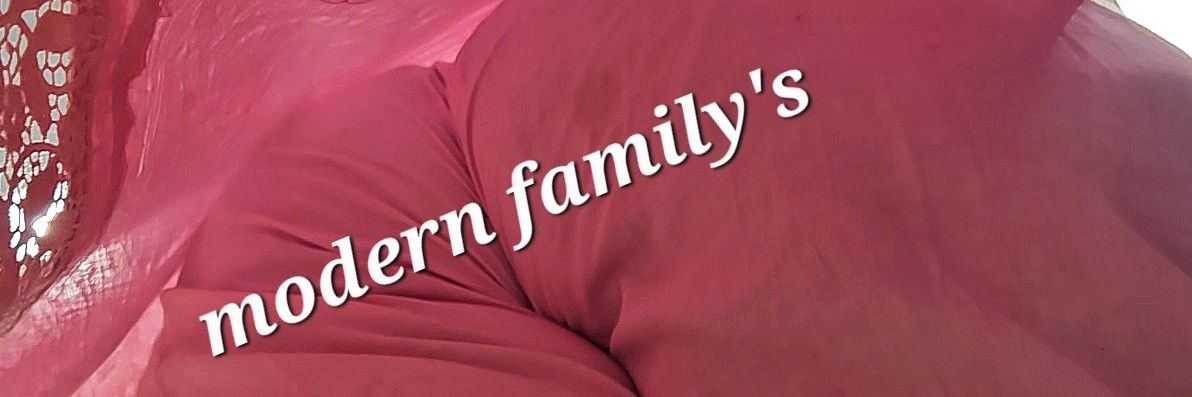 modern family's banner