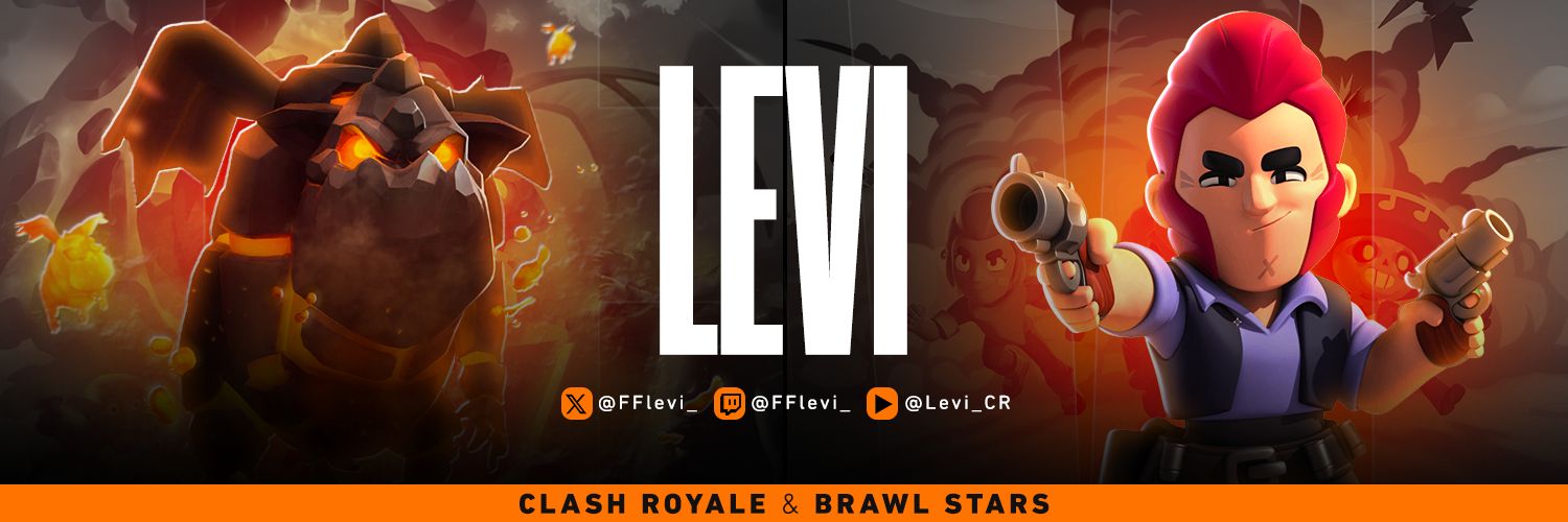 Levi banner