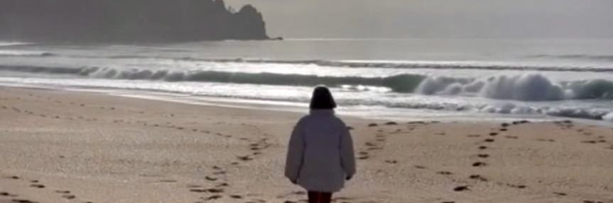 🟦 parmanone banner