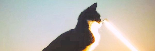 polymaster_io Profile Banner