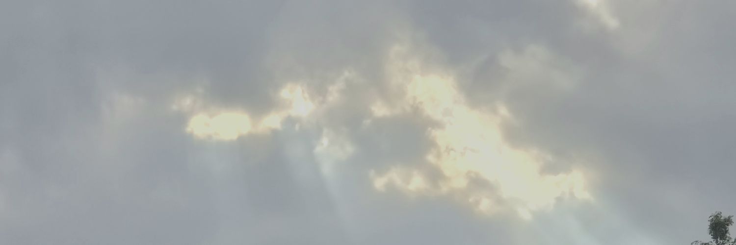 ani_leelee's profile banner image