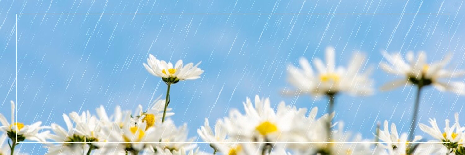 mouloo_p's profile banner image