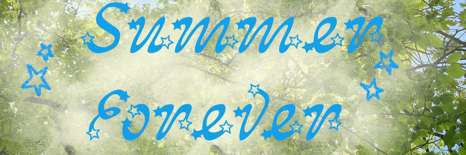 v𖦹niille banner
