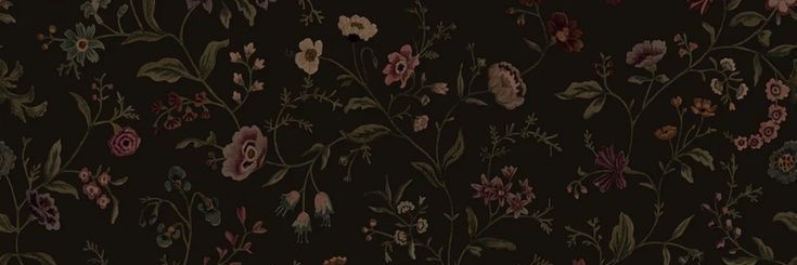 birdfan99's profile banner image